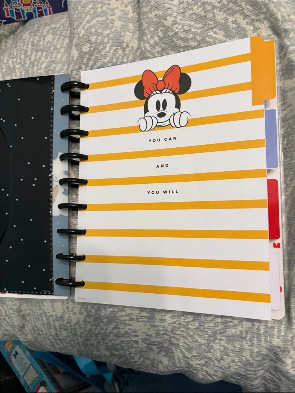 Happy Planner Classic Disney Minnie Mouse Budget Journal Disc